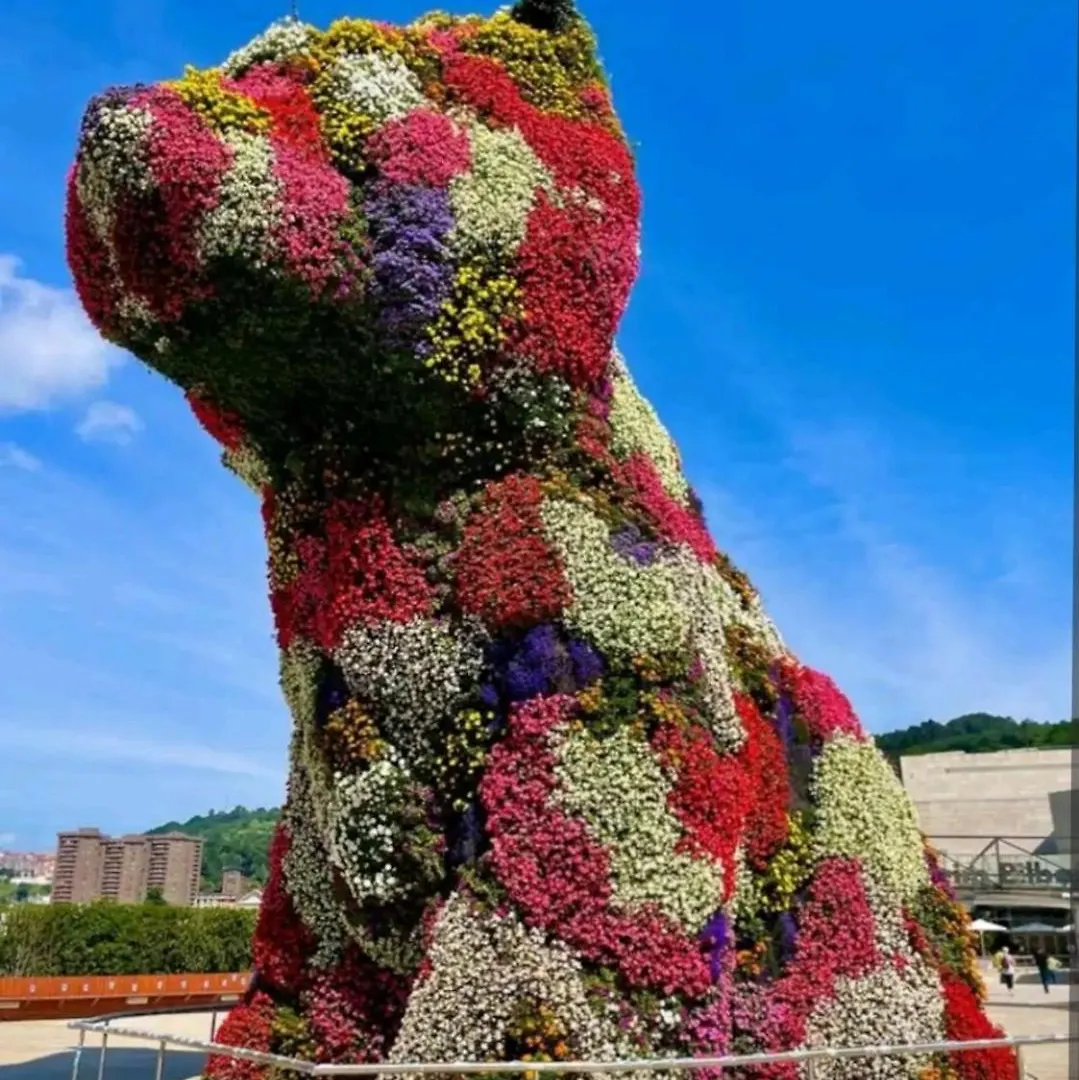 公寓 B.E.C Apto Bilbao 巴拉卡